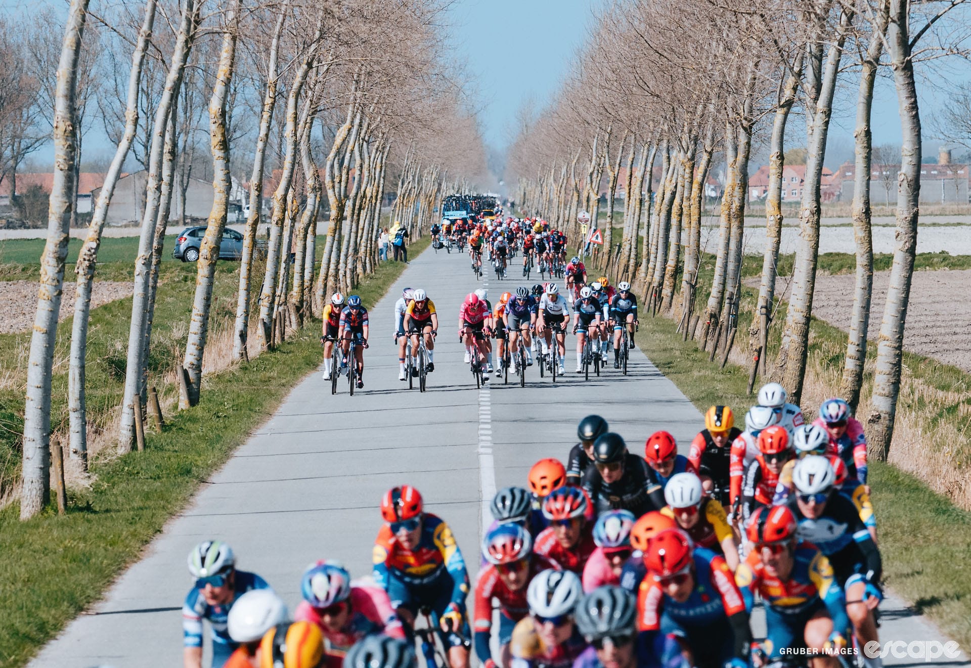 Gallery: Solo brilliance and an unbeatable sprint at Gent-Wevelgem