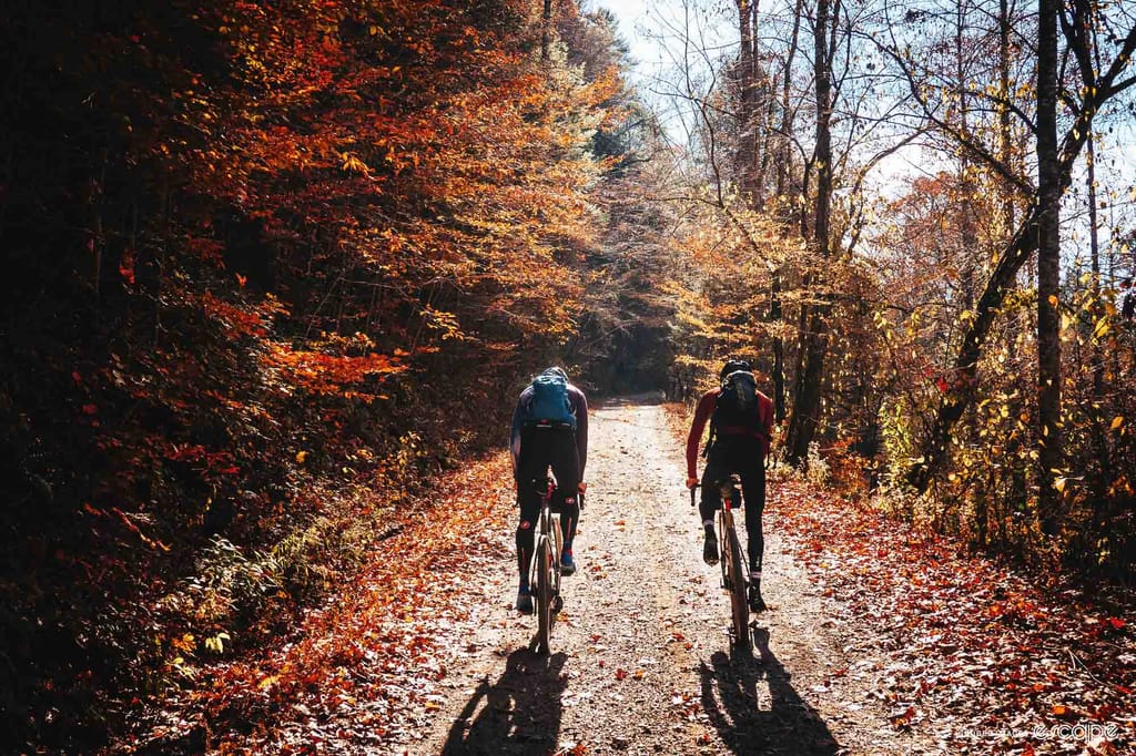 You should go for a bike ride