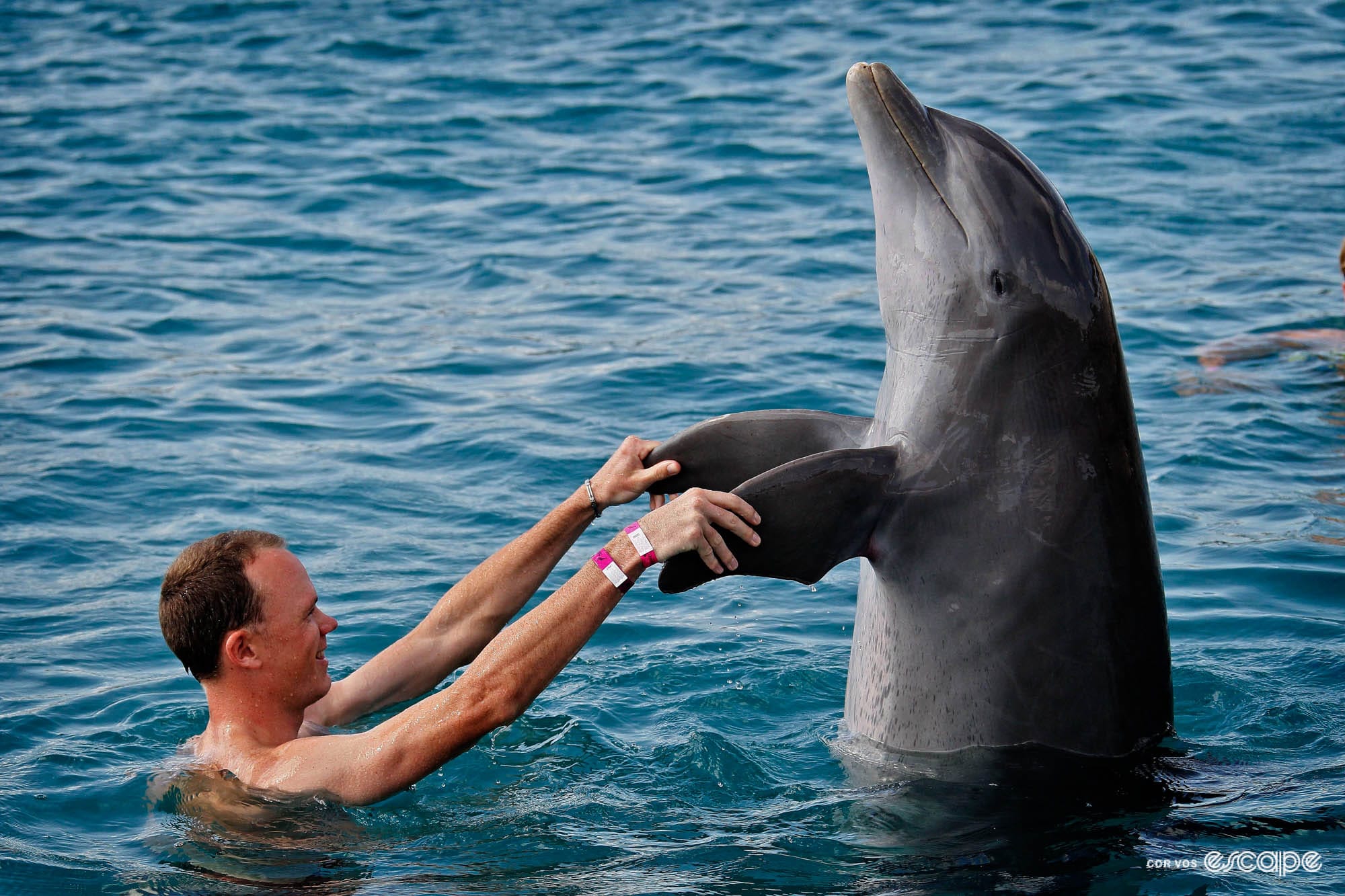 Of dolphins and drop bars: Remembering Cor Vos through cycling's strangest race