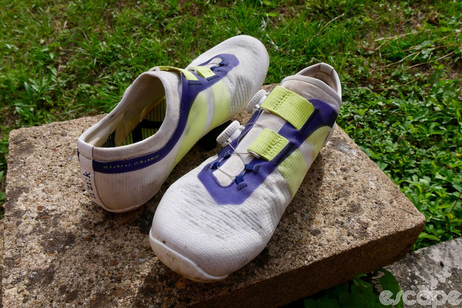 Fizik Vega review: A completely new take, with a sock-like design