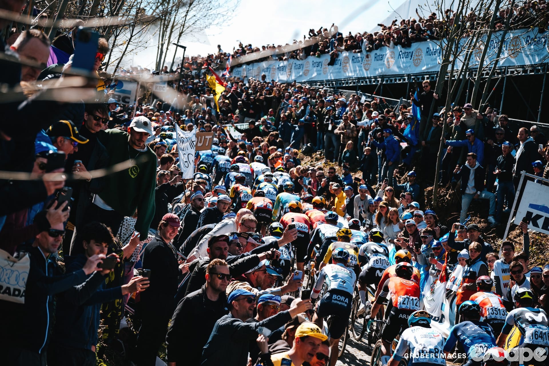 Forget Vegas, Flanders is the best bachelor party