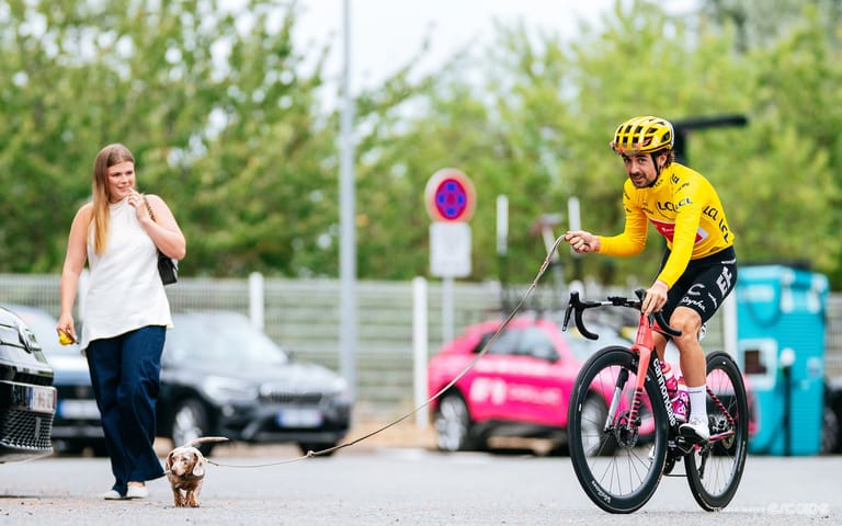 Ben Healy's sausage dog will steal your heart if you let her